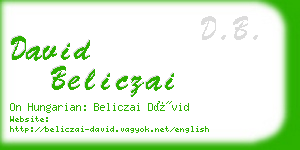 david beliczai business card